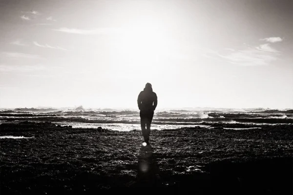 WELL SAID: TORONTO SPEECH THERAPY. A person walks alone on a rocky Toronto shore toward the ocean, silhouetted against the bright sun low in the sky, creating a dramatic, high-contrast scene.