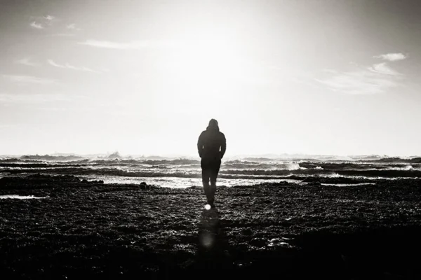WELL SAID: TORONTO SPEECH THERAPY. A person stands alone on a rocky shore in Ontario, facing the ocean with waves in the distance. The image is in black and white, and the sun above the horizon creates a dramatic silhouette.